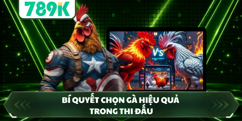 Bí quyết chọn gà hiệu quả trong thi đấu