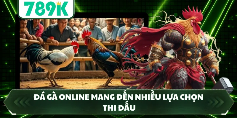 Đá gà online mang đến nhiều lựa chọn thi đấu