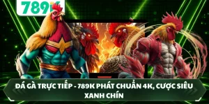 Đá Gà Trực Tiếp - 789K Phát Chuẩn 4K, Cược Siêu Xanh Chín