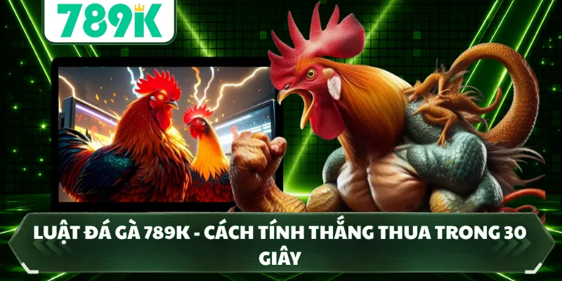 Luật Đá Gà 789K - Cách Tính Thắng Thua Trong 30 Giây