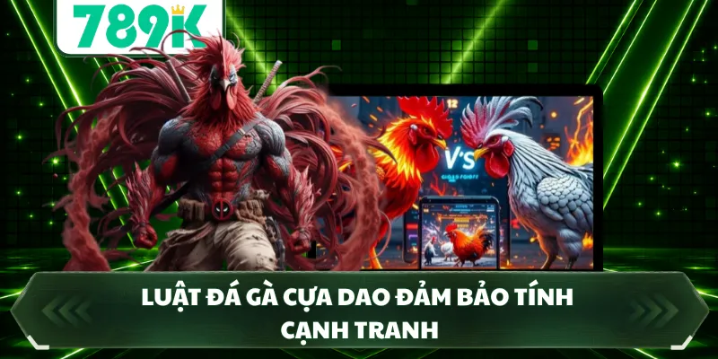 Luật đá gà cựa dao đảm bảo tính cạnh tranh