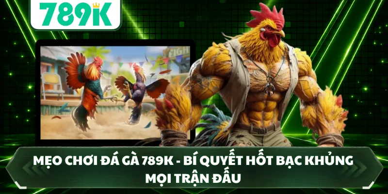 Mẹo Chơi Đá Gà 789K - Bí Quyết Hốt Bạc Khủng Mọi Trận Đấu