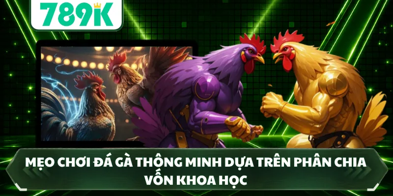 Mẹo chơi đá gà thông minh dựa trên phân chia vốn khoa học