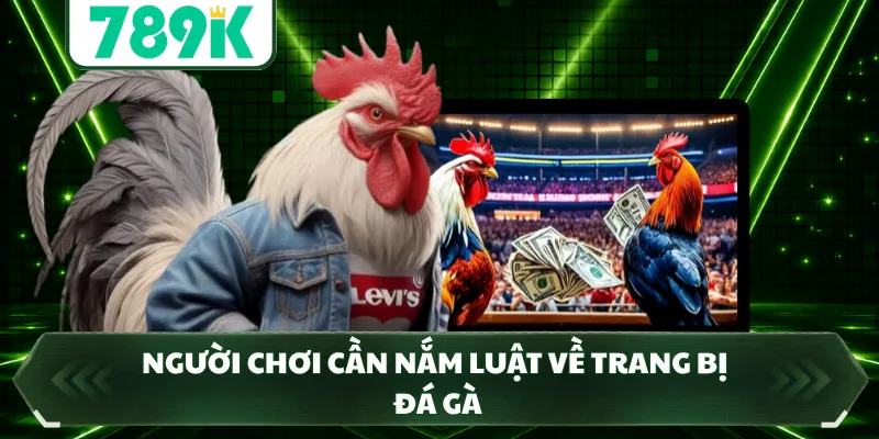 Người chơi cần nắm luật về trang bị đá gà